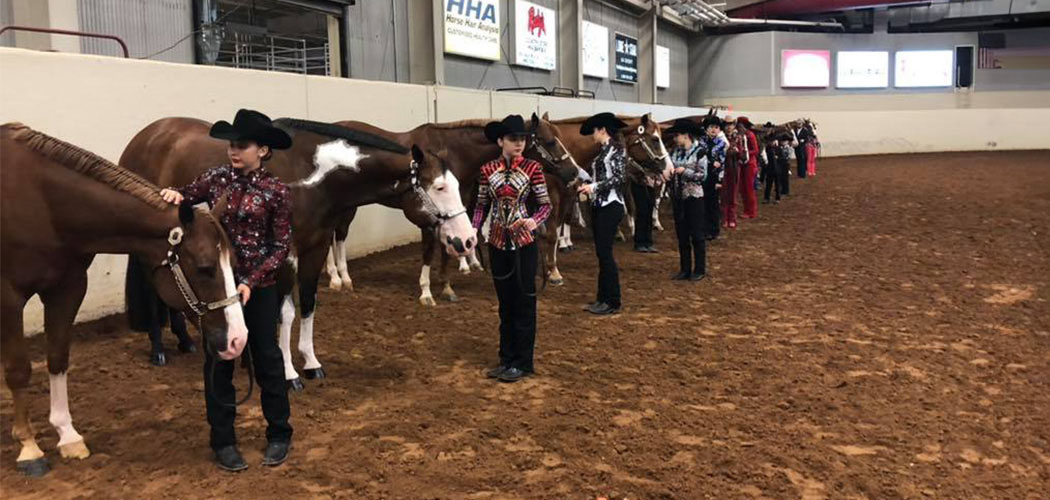 Texas Paint Horse Club